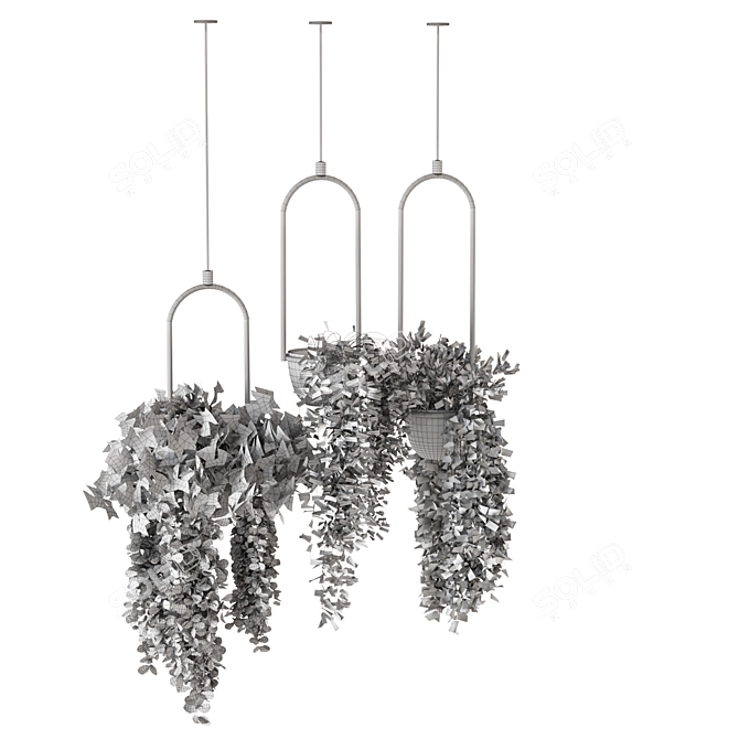 Lush Indoor Hanging Plant Set 3D model image 5