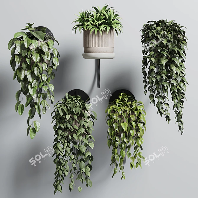 180 Concrete Wall Vase for Indoor Plants 3D model image 2