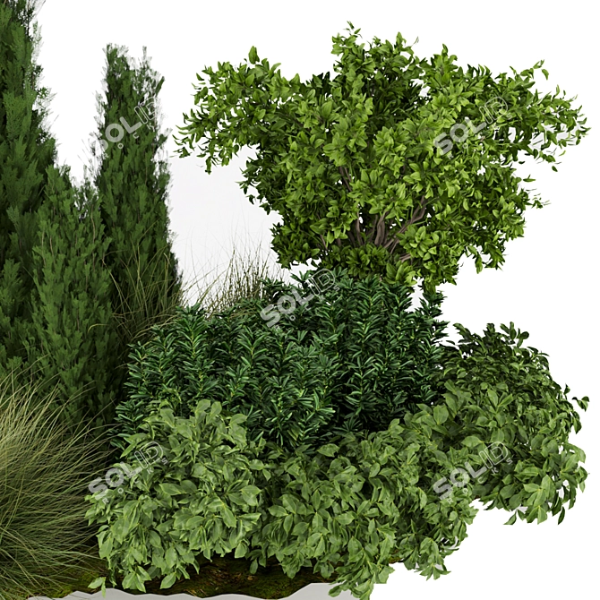 305 Outdoor Plant Collection: Trees, Grass, Bush 3D model image 2
