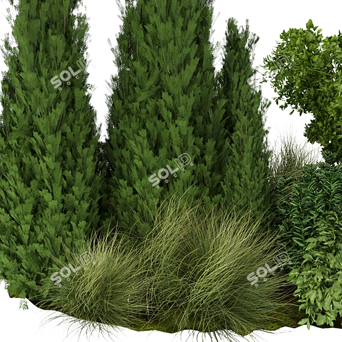 305 Outdoor Plant Collection: Trees, Grass, Bush 3D model image 3