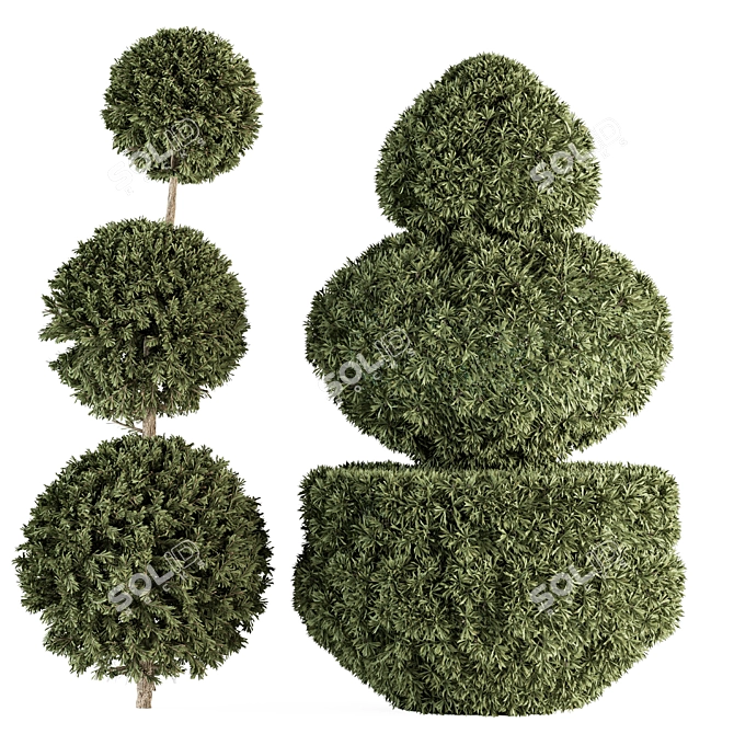 Elegant Topiary Set 65 - Perfect for Greenery Bliss 3D model image 1