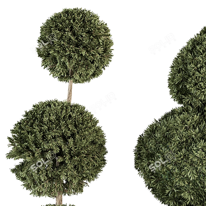 Elegant Topiary Set 65 - Perfect for Greenery Bliss 3D model image 3
