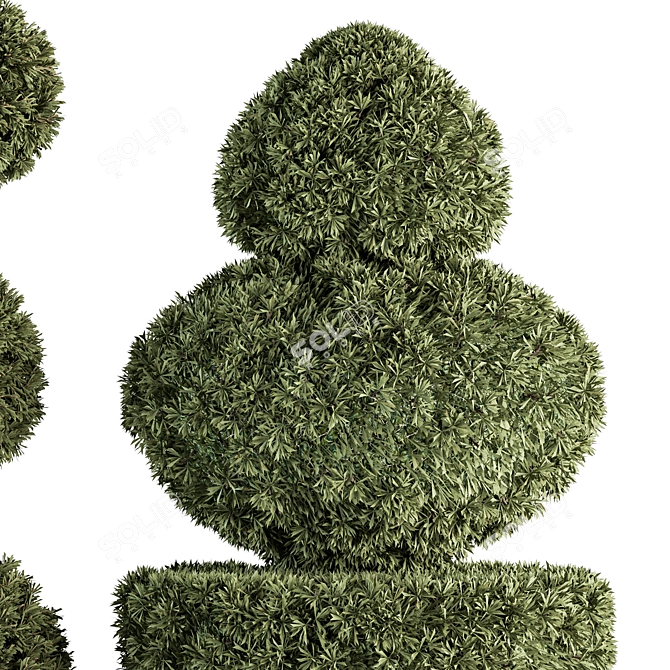 Elegant Topiary Set 65 - Perfect for Greenery Bliss 3D model image 4