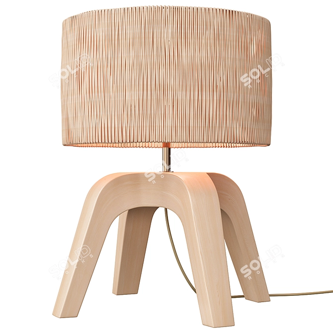 Modern Sander Wicker Table Lamp 3D model image 1