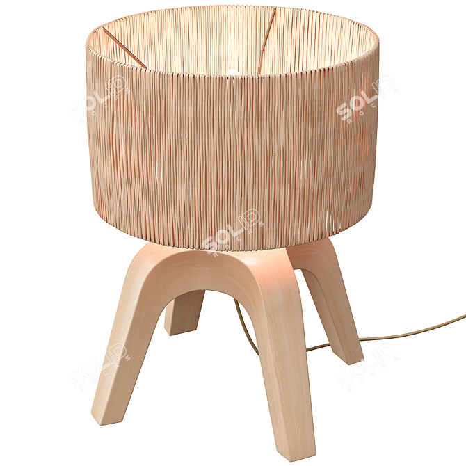 Modern Sander Wicker Table Lamp 3D model image 2