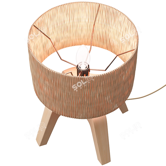 Modern Sander Wicker Table Lamp 3D model image 3