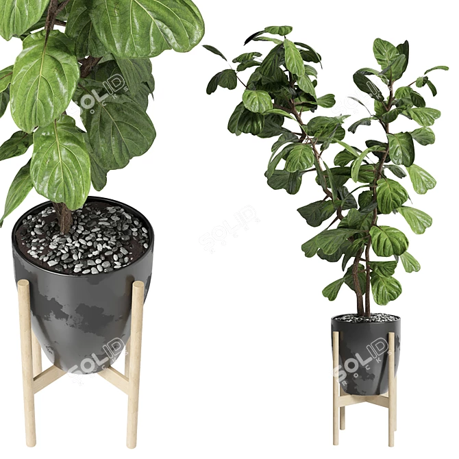 Ficus Lyrata Metal Dirt Vase 3D model image 2