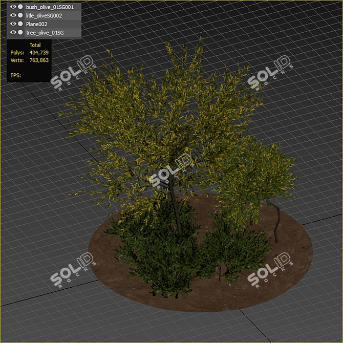Evergreen Olive Tree: Beautiful and Healthy 3D model image 6