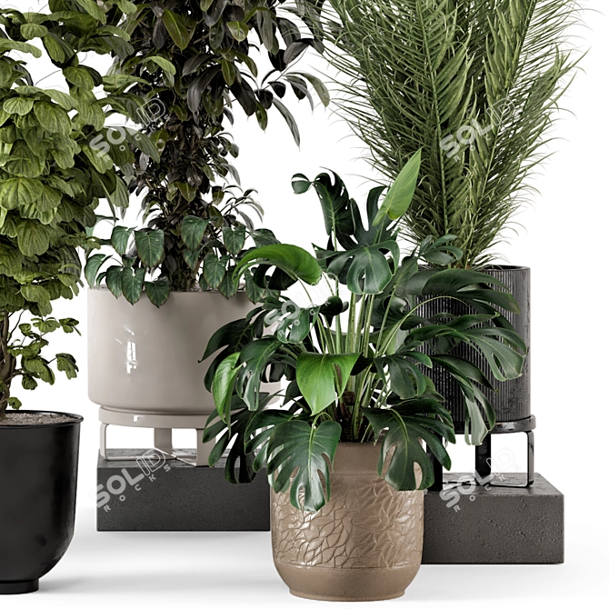 Rustic Concrete Pot Indoor Plants 3D model image 4