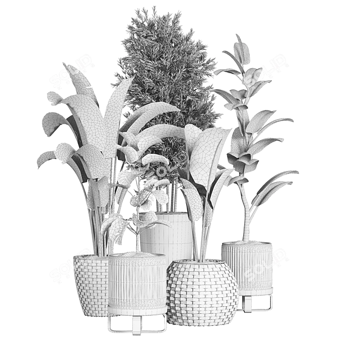 Indoor Plant Collection - 40 Varieties 3D model image 8