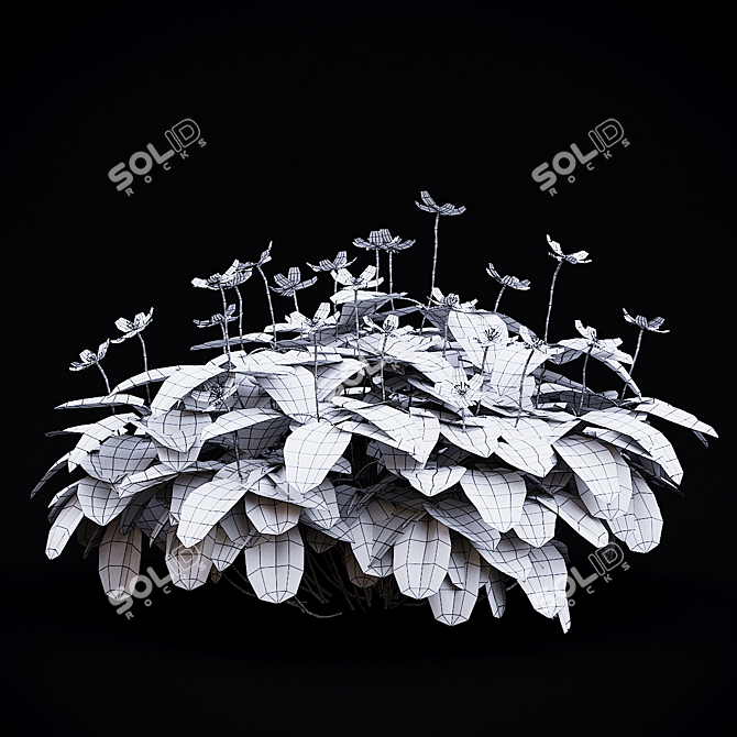 Anemone Oak Bushes | Set of 5 Varieties 3D model image 4