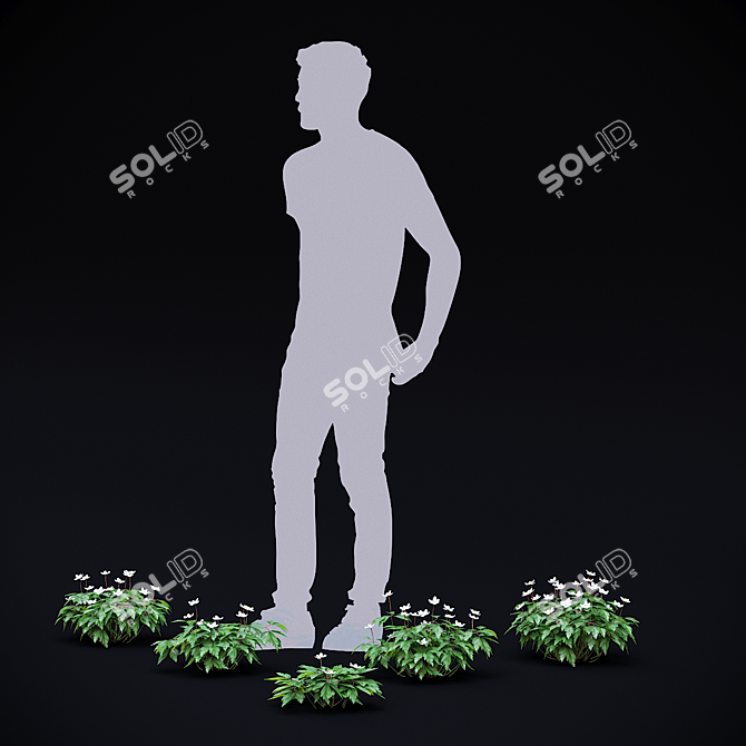 Anemone Oak Bushes | Set of 5 Varieties 3D model image 5