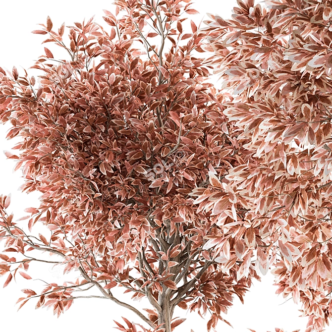 Pink & Concrete Outdoor Plant Set 3D model image 2