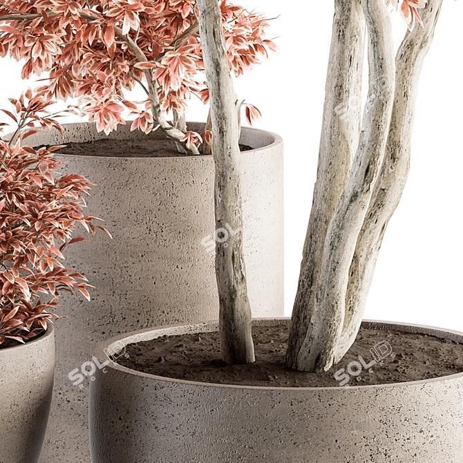 Pink & Concrete Outdoor Plant Set 3D model image 3