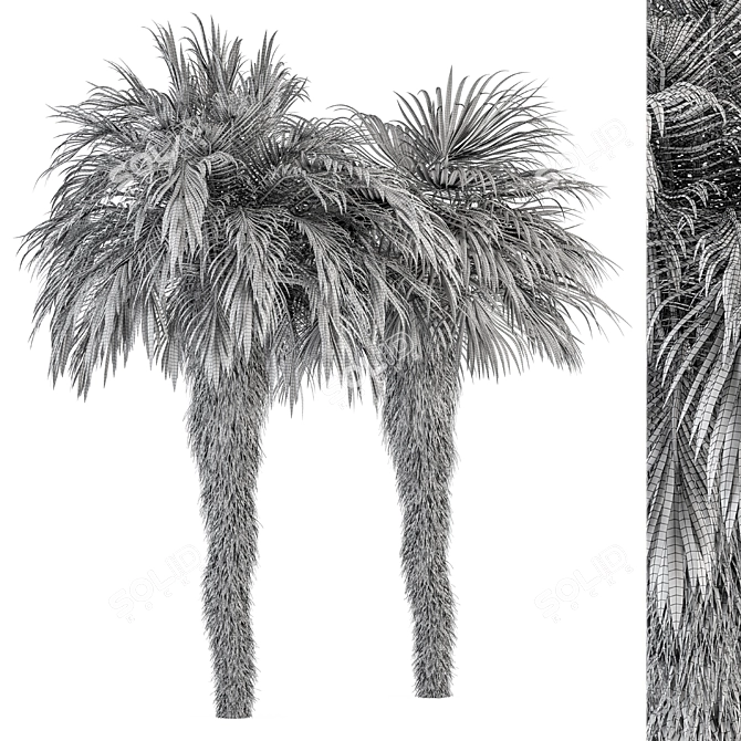 Palm Date Tree Set - Fluffy Bark 3D model image 5