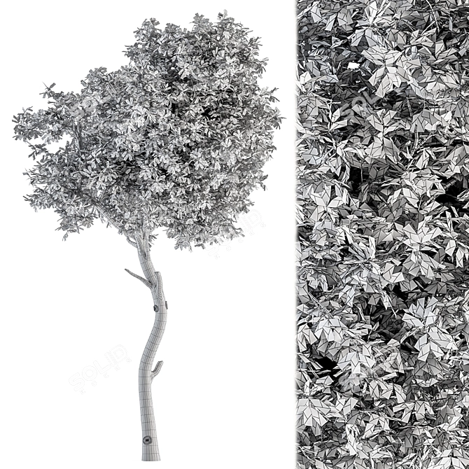 70-Piece Small Green Maple Tree Set 3D model image 5