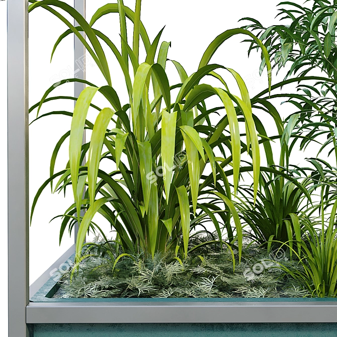 Modern Interior Plant Box Set 3D model image 7