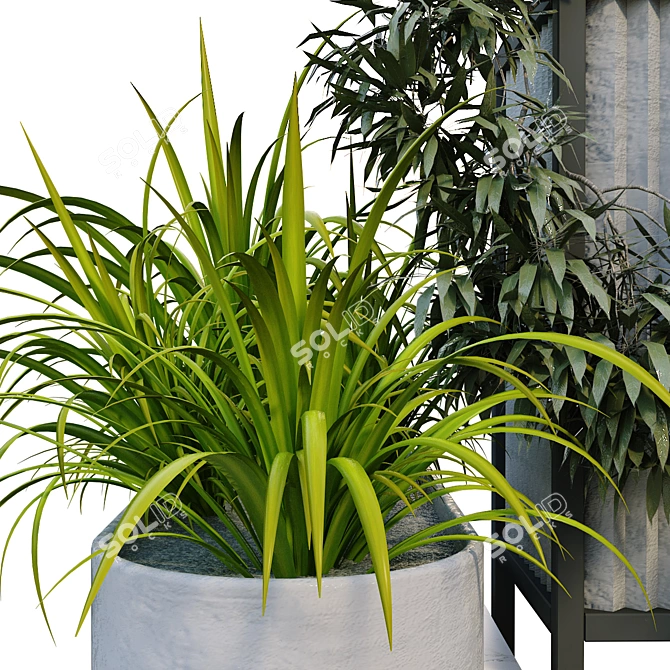 Elevate your space with Boxed Interior Plant Set 3D model image 4