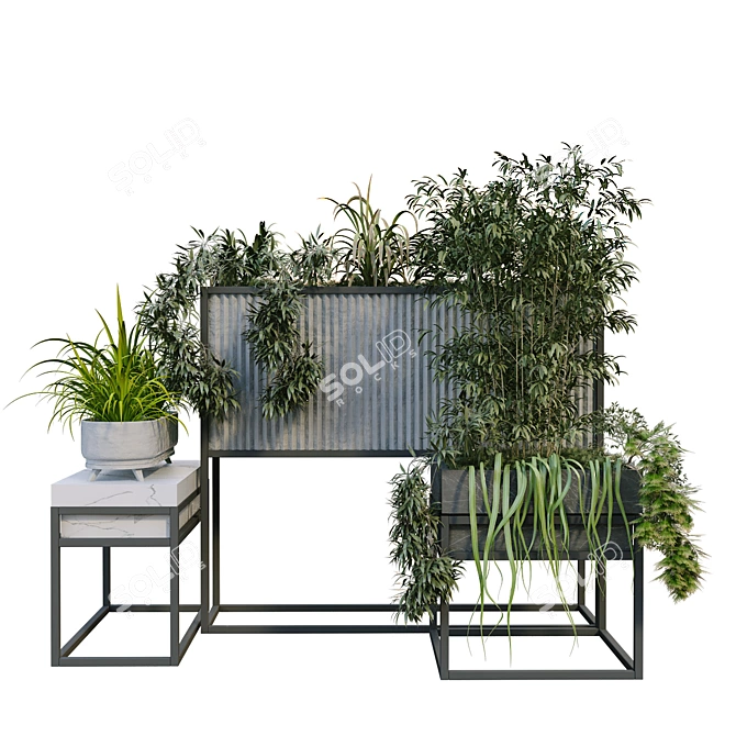 Elevate your space with Boxed Interior Plant Set 3D model image 6