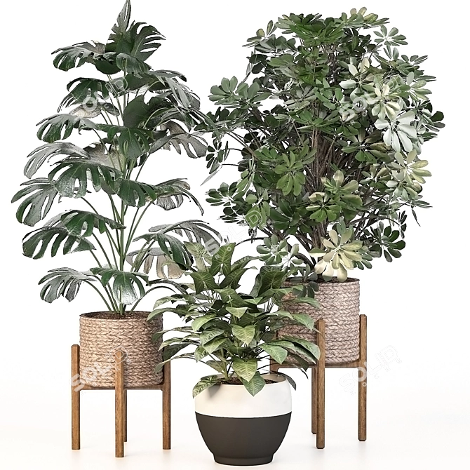 Green Haven Indoor Plant Set 3D model image 6