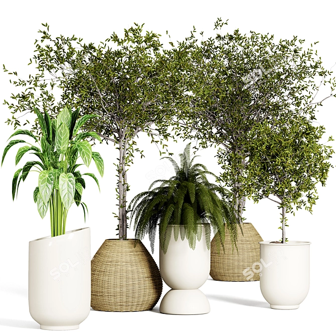 Urban Jungle Indoor Plant Collection 3D model image 1