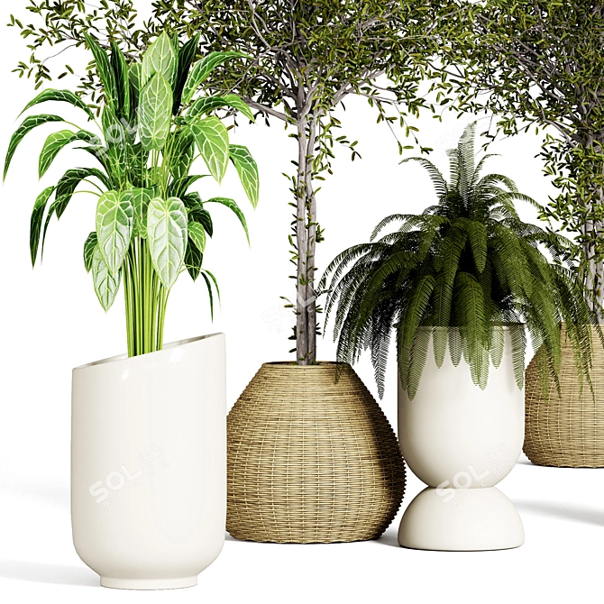 Urban Jungle Indoor Plant Collection 3D model image 3