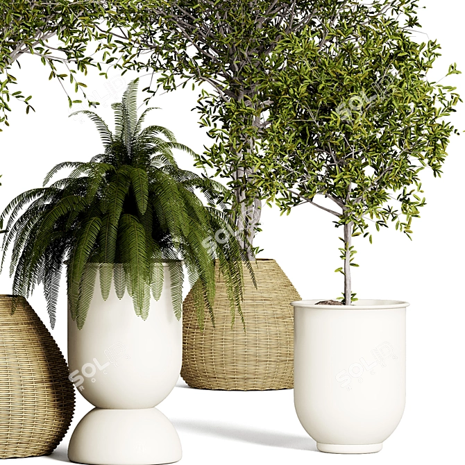 Urban Jungle Indoor Plant Collection 3D model image 4