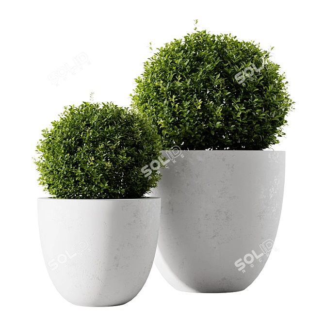  Vibrant Indoor Plants Collection 3D model image 1