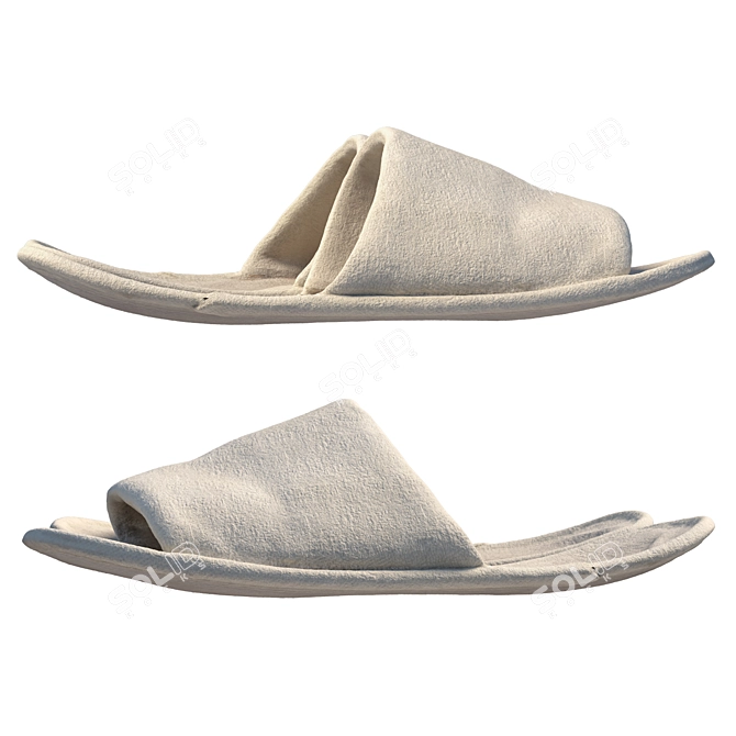 Title: 360 Scan Slippers 3D model image 1