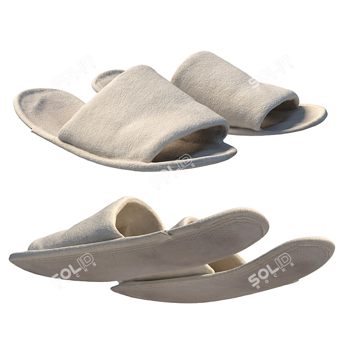 Title: 360 Scan Slippers 3D model image 2