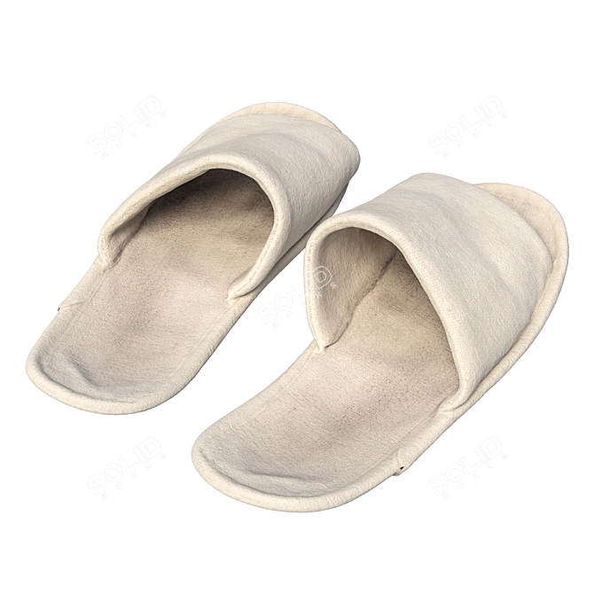 Title: 360 Scan Slippers 3D model image 3