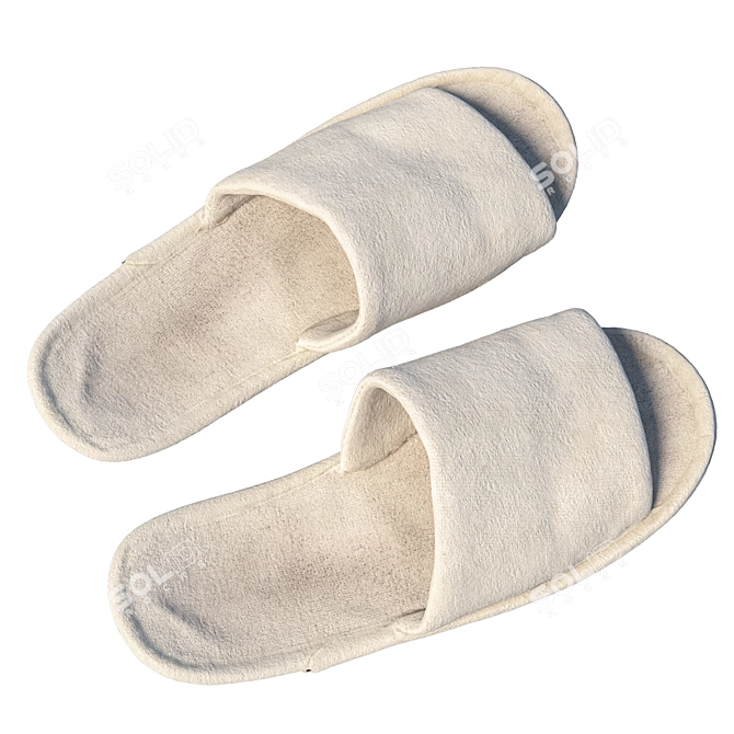 Title: 360 Scan Slippers 3D model image 4