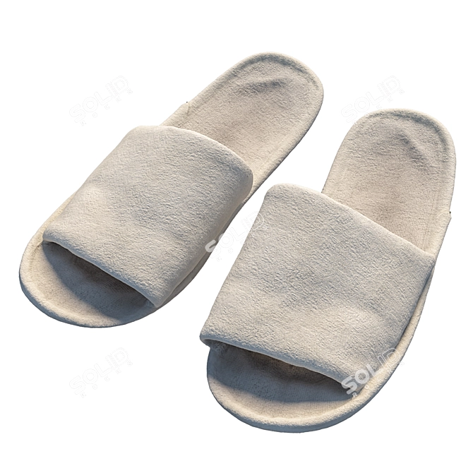 Title: 360 Scan Slippers 3D model image 5