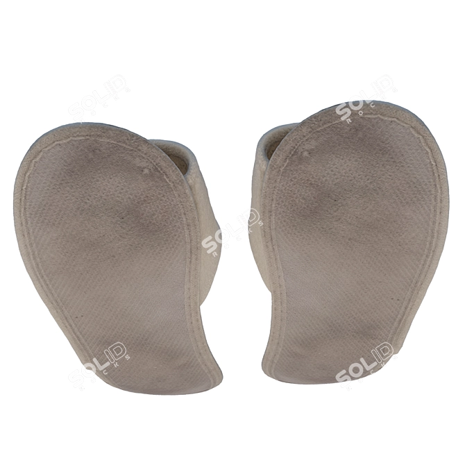 Title: 360 Scan Slippers 3D model image 7