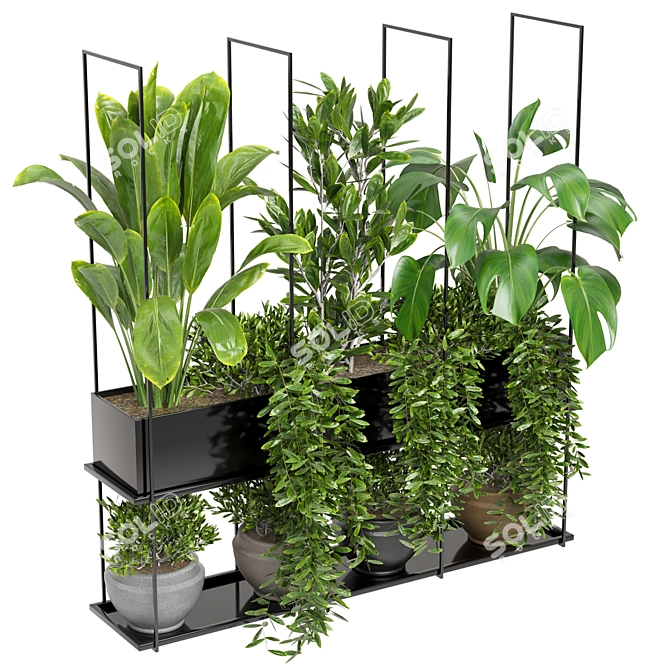 Metal Box Hanging Plants - Set 225 3D model image 2