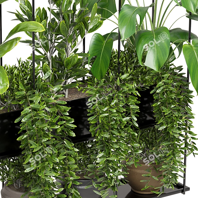 Metal Box Hanging Plants - Set 225 3D model image 5