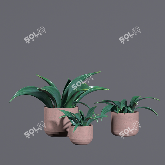 Garden Harmony: Clay Pot Planters 3D model image 1