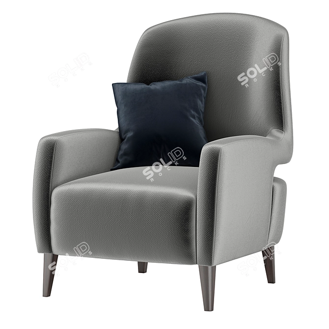 Title: Rubelli Casa Barbacan Modern Chair 3D model image 1