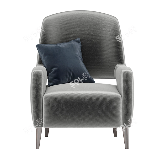 Title: Rubelli Casa Barbacan Modern Chair 3D model image 4