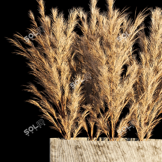 Deluxe Pampas Grass Bouquet 3D model image 2