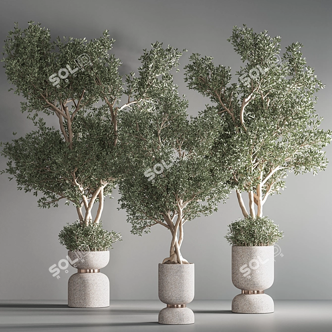 31-Piece Indoor Plant Set - Vray Render 3D model image 3