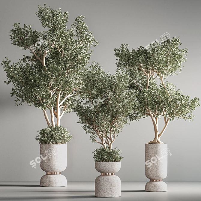 31-Piece Indoor Plant Set - Vray Render 3D model image 4