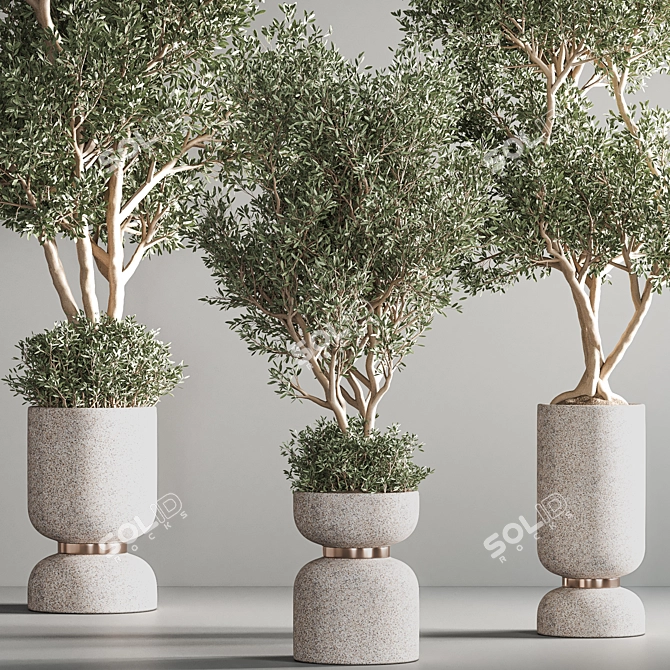 31-Piece Indoor Plant Set - Vray Render 3D model image 5