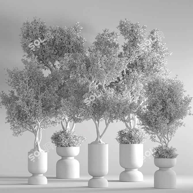 31-Piece Indoor Plant Set - Vray Render 3D model image 7