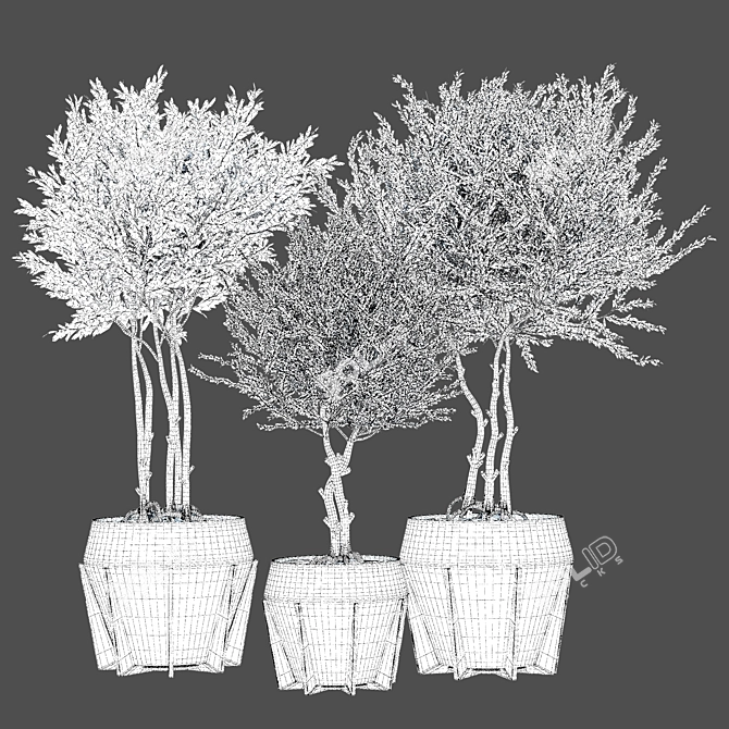 Modern Indoor Plant Vol 34 3D model image 5