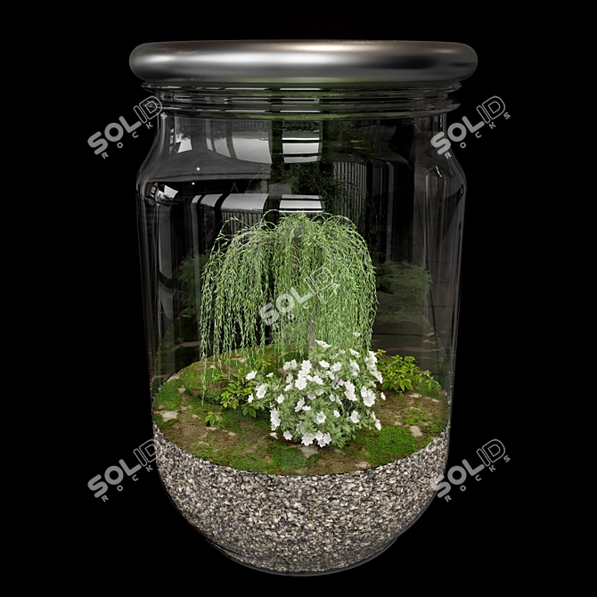 Exquisite Terrarium Plant Collection 3D model image 1