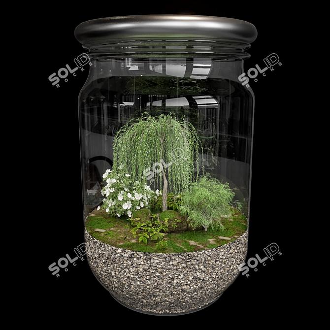 Exquisite Terrarium Plant Collection 3D model image 2