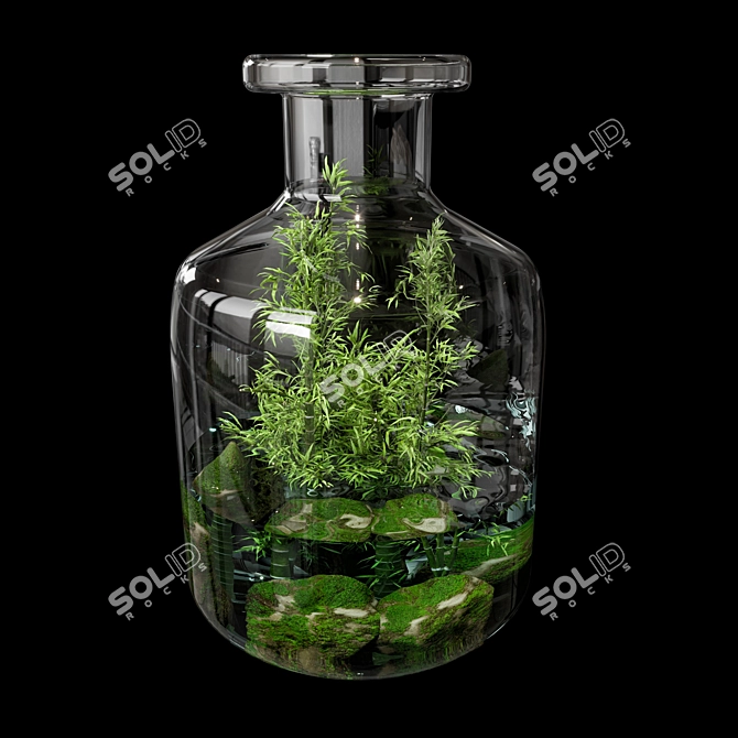 Natural Greenery Terrarium Set 3D model image 1