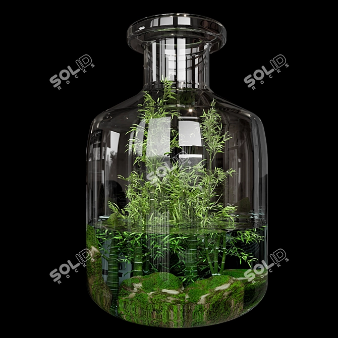 Natural Greenery Terrarium Set 3D model image 2