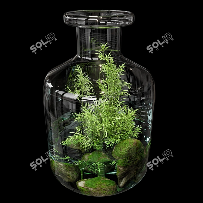 Natural Greenery Terrarium Set 3D model image 3